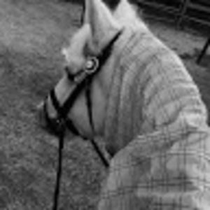 Meet your Posher, Mia